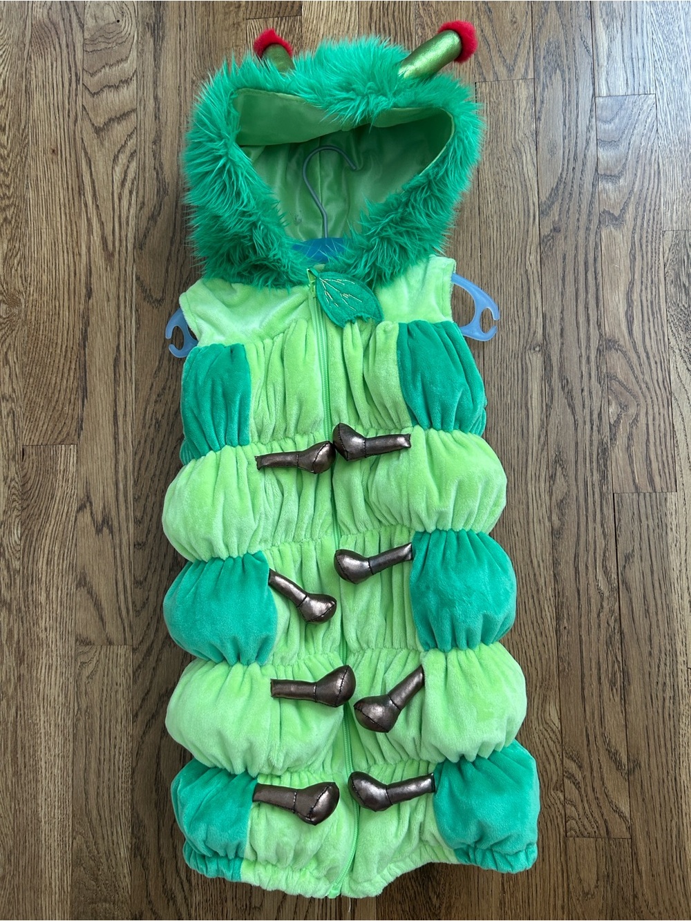 Hungry Caterpillar Costume